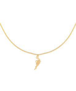 Necklace Gun Gold - Color